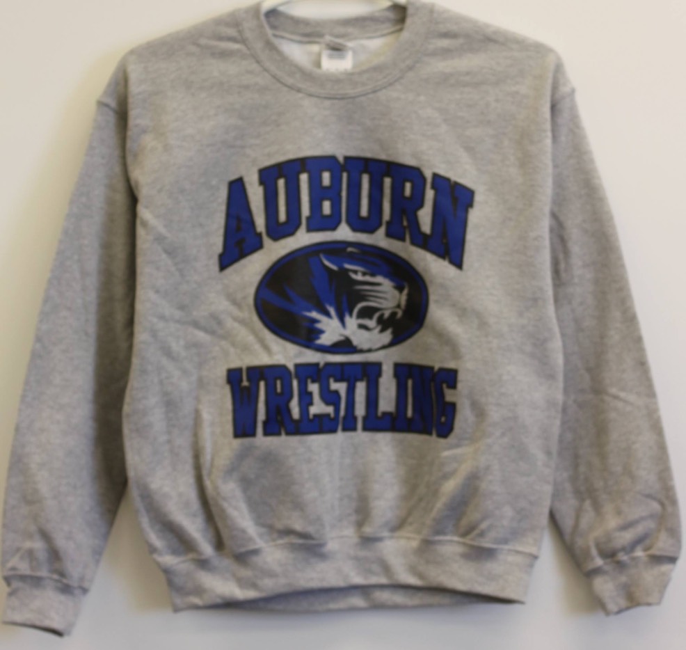 22467458_1600869109971889_4392399268899258457_o