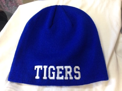 Blue Toboggan with TIGERS